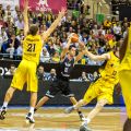 Nenad Miljenovic