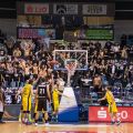 From Oldenburg - PAOK game...