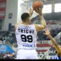 Brandon Triche